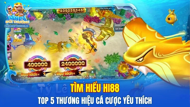 Tìm hiểu Hi88 - Top 5 thương hiệu cá cược yêu thích