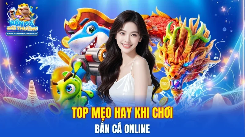 tong-hop-bi-quyet-choi-ban-ca-hieu-qua